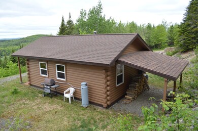 Cabin back