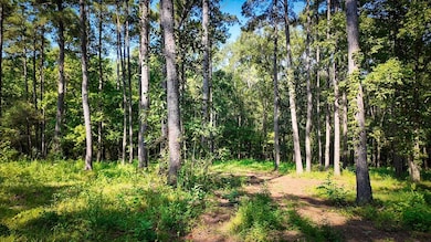 140 Elderberry Ln, Cairo, GA 39828 - photo 5