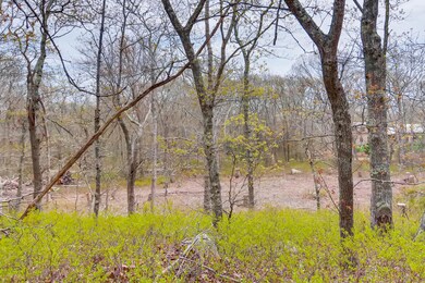 20 Luce Farm Rd, West Tisbury, MA 02575 - photo 6