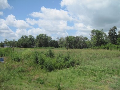 0 Cr 461 unit 88803174, Brazoria, TX 77422 - photo 2