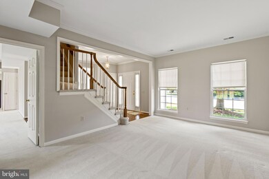 7037 Bedrock Rd, Alexandria, VA 22306 - photo 4