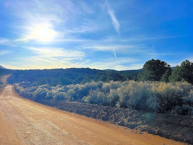 Butcher Rd, Fort Garland, CO 81133 - photo 3