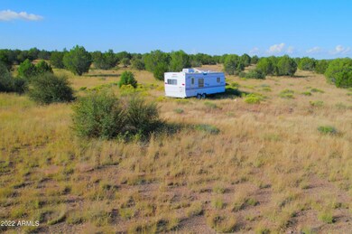 TBD Wagon Tree Rd 9 92 Acres --, Ash Fork, AZ 86320 - photo 6
