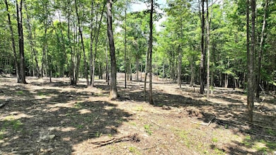 TBD, Tract 3 Polk Road 158, Mena, AR 71953 - photo 2