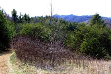 Beautiful long range views of Little Pine with gre