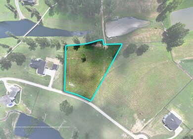 The Reserve County Road 912 unit Lot2, Cullman, AL 35055 - photo 2