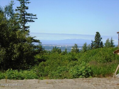 12801 Midori Dr, Anchorage, AK 99516 - photo 4