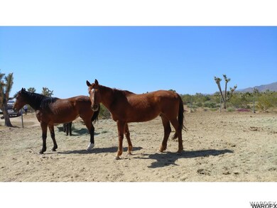 Horses Allowed