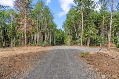 1792 Spirit Lake Hwy unit Lot 1, Castle Rock, WA 98611 - photo 4