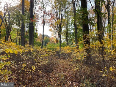 0 W Forge Rd, Glen Mills, PA 19342 - photo 5