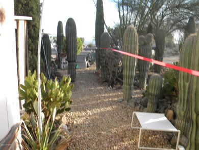 Side Yard