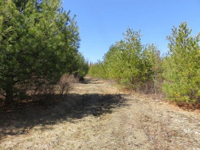 0 Height of Land Rd, Grafton, NH 03240 - photo 4