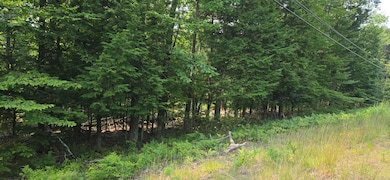 486 N High St, Bridgton, ME 04009 - photo 5