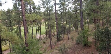 Viewof18thHole