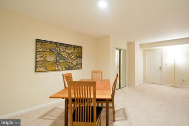 101 Skyhill Rd unit 101, Alexandria, VA 22314 - photo 7