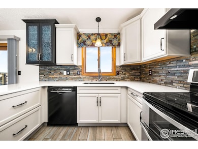 45795 Coal Creek Dr, Parker, CO 80138 - photo 7