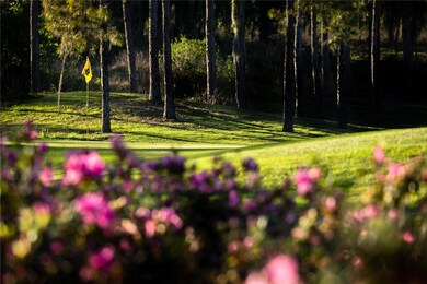 26207 Avenida Las Colinas unit 13A, Howey In the Hills, FL 34737 - photo 4