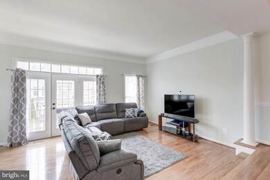 25128 Andes Terrace, Stone Ridge, VA 20105 - photo 3