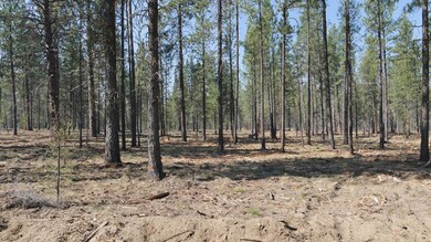 Front of homesite