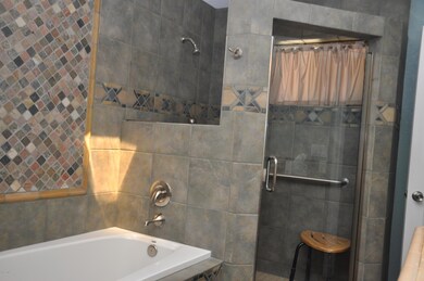 Master Tub & Shower