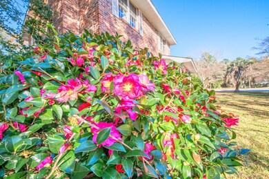 Beautiful flowers!