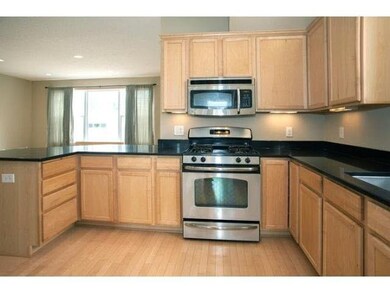 13403 Brick Path, Rosemount, MN 55068 - photo 7