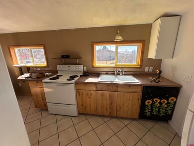 820 S Grand Mesa Dr, Cedaredge, CO 81413 - photo 3