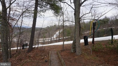 203 Hillside Ct, Basye, VA 22810 - photo 5