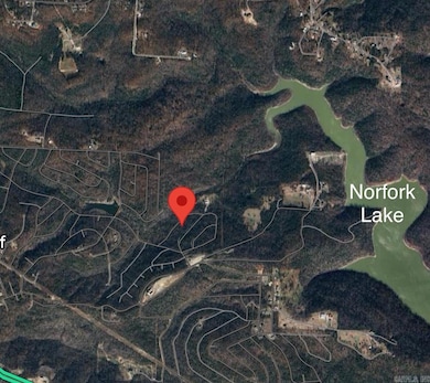 000 Canmore Dr, Briarcliff, AR 72653 - photo 2