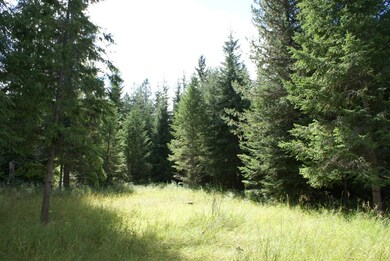 Timber