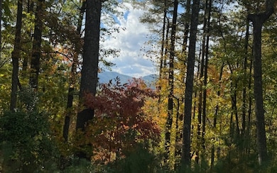 Lt 56,57 Hemlock Dr, Suches, GA 30572 - photo 3