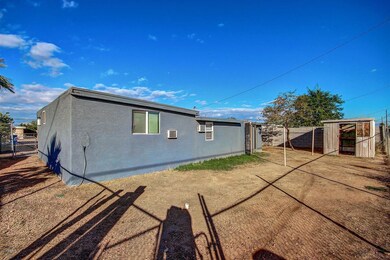 0005-Cocopah (4)