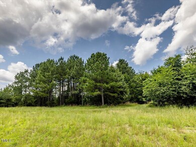 588 Rufus C Burnette Dr, Baldwin, NC 27312 - photo 3