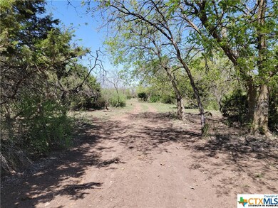 14609 Buckhorn Cemetery Rd, Moody, TX 76557 - photo 6