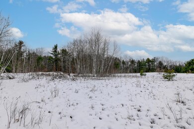 Stand of birches