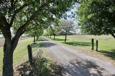 5115 Brandon Rd, East Bernard, TX 77435 - photo 2