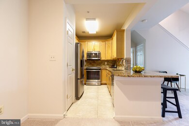11315 Westbrook Mill Ln unit 302, Fairfax, VA 22030 - photo 4
