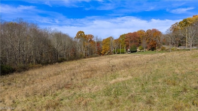 9204 Sandyville Rd NE, Mineral City, OH 44656 - photo 3