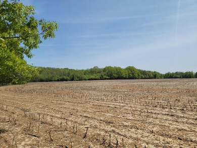 0 Leonard Rd, Nunica, MI 49448 - photo 2