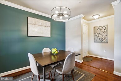 4191 S Four Mile Run Dr unit 202, Arlington, VA 22204 - photo 4