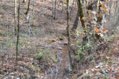 0 Wet Mill Creek Rd unit RTC3050174, Celina, TN 38551 - photo 2