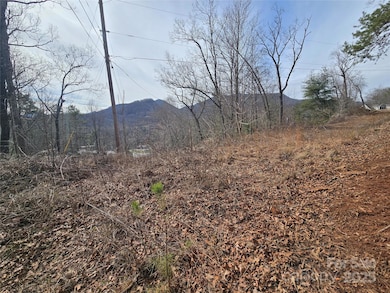 425 Crocus Ln, Dillsboro, NC 28779 - photo 7