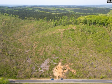 TBD/40 Cunningham Quarters Rd, Heath Springs, SC 29058 - photo 3