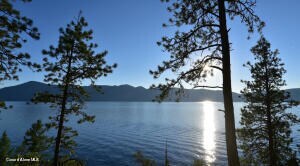 NKA Scotch Rd, Bayview, ID 83803 - photo 4