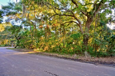 Lot on right of Persimmon