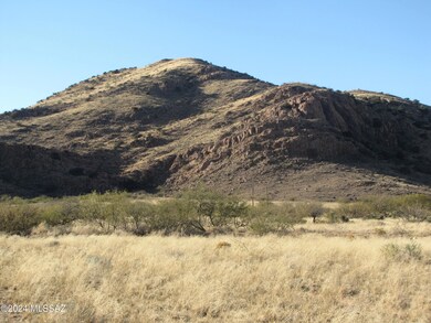 View of Coronado Natl Forest