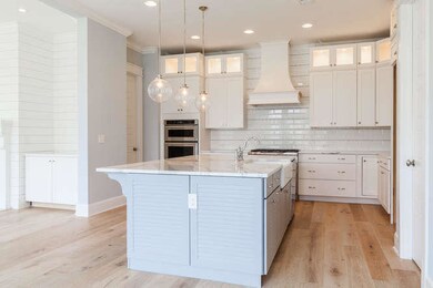 2982 River Vista Way Mount-small-007-68-