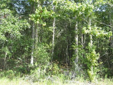 00 Old Savannah Road & Us 280, Ailey, GA 30410 - photo 5