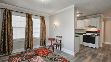 2910 E 13th Ave, Sheffield, AL 35660 - photo 5