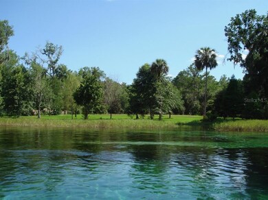 9069 SW 190th Avenue Rd, Dunnellon, FL 34432 - photo 5